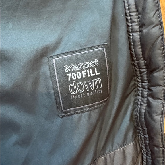 • Marmot• - Picture 5 of 10
